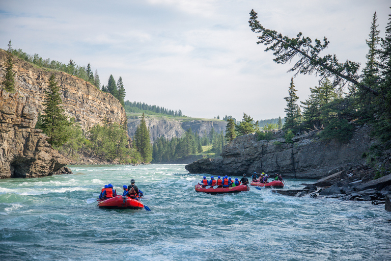 Banff: Horseshoe Canyon Whitewater Rafting Tour