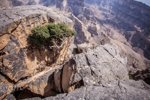 Jebel Shams ( Tagestour ) &quot;Der Grand Canyon des Oman&quot;- 8 Stunden