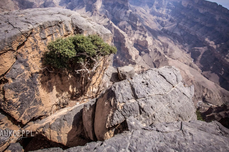 Jebel Shams (escursione giornaliera) &quot;Il Grand Canyon dell&#039;Oman&quot; - 8 ore