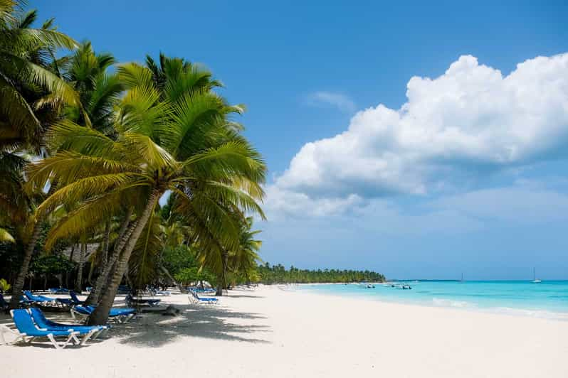 From Punta Cana: Saona Island Catamaran Tour w/ Buffet Lunch | GetYourGuide