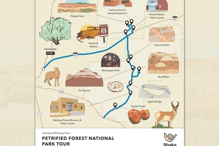 Petrified National Park: zelfgeleide GPS-audiotourVersteende Nationaal Park Tour