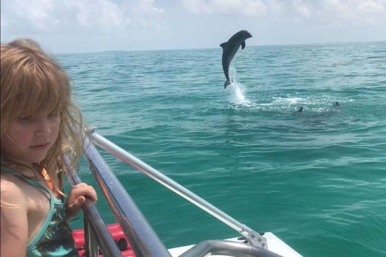 Destin: Snorkeling Cruise with 2 Stops and Dolphin Watching