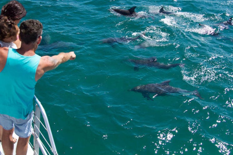 Destin: Snorkeling Cruise with 2 Stops and Dolphin Watching