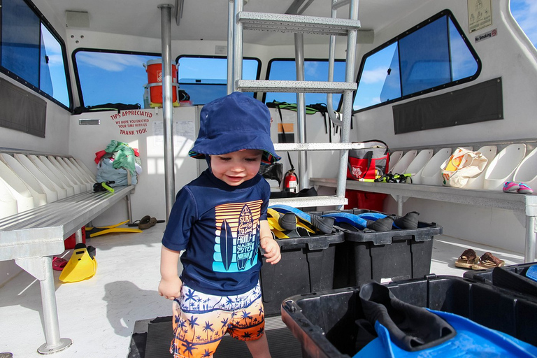 Destin: Snorkeling Cruise with 2 Stops and Dolphin Watching