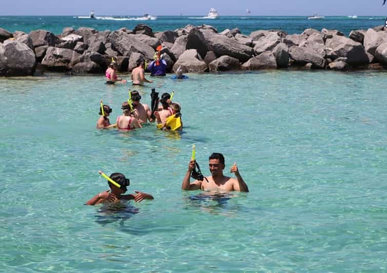 Destin Snorkeling and Dolphin Watching Cruise GetYourGuide