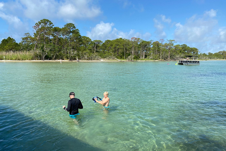 Destin: Snorkeling Cruise with 2 Stops and Dolphin Watching