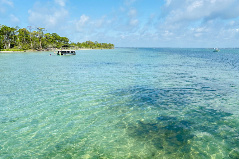 Destin: Snorkeling Cruise with 2 Stops and Dolphin Watching