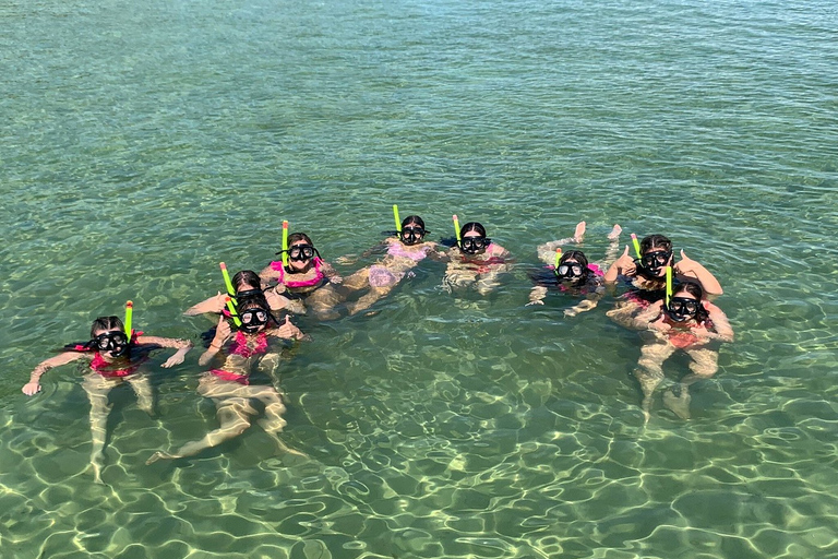 Destin: Snorkeling Cruise with 2 Stops and Dolphin Watching