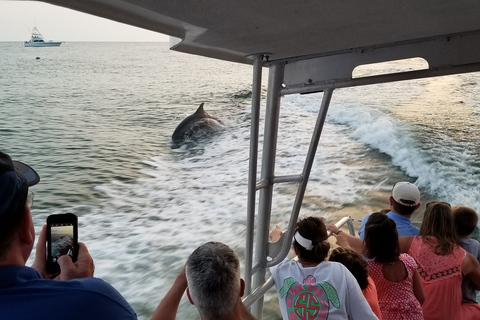 Destin: Snorkeling Cruise with 2 Stops and Dolphin Watching