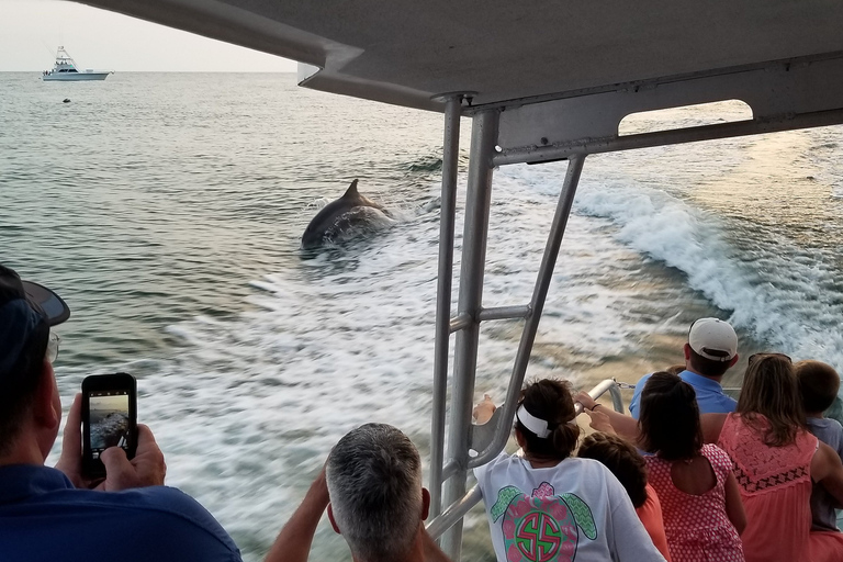 Destin: Snorkeling Cruise with 2 Stops and Dolphin Watching