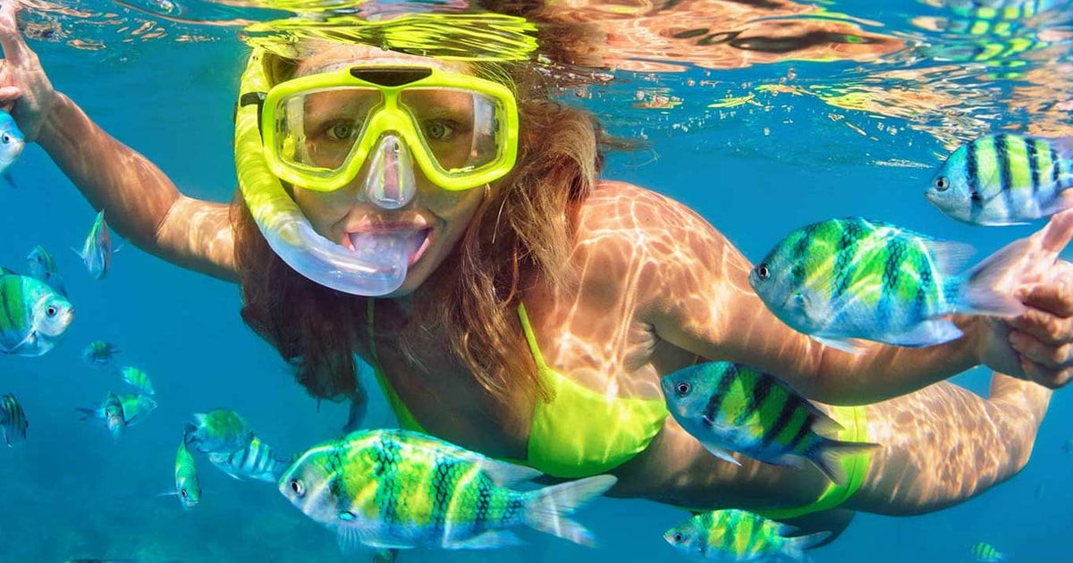 Destin Snorkel & Dolphin Cruise GetYourGuide