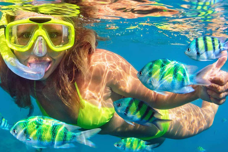Destin: Snorkeling Cruise with 2 Stops and Dolphin Watching