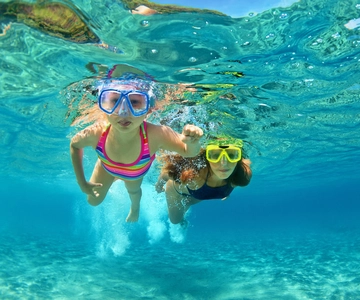 Destin: Crucero de snorkel con 2 paradas y avistamiento de delfines