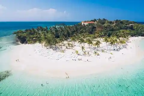 Punta Cana: Samana Full Day Trip Whale Cascada El Limon