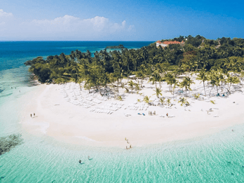 Punta Cana: Samana Full Day Trip Whale Cascada El Limon