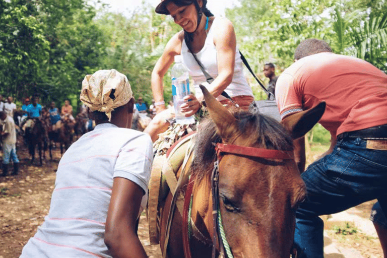 Excursión guiada de un día a Samaná desde Punta Cana