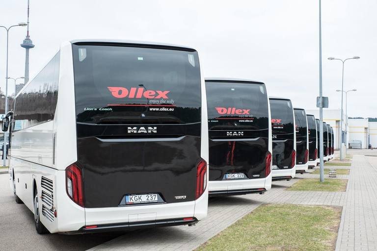 Lotnisko w Rydze: Transfer autobusem do/z KłajpedyPojedynczy z lotniska w Rydze do Kłajpedy