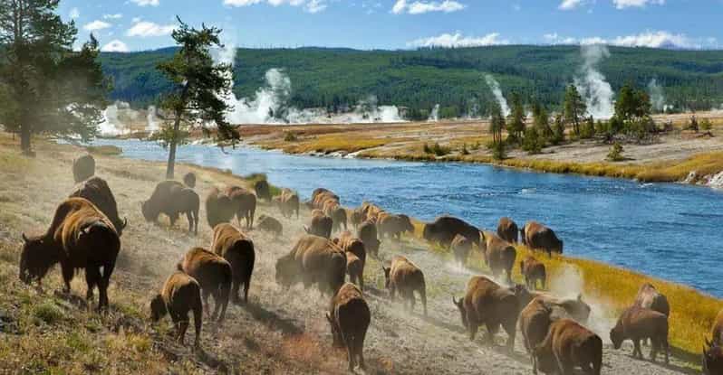 Salt Lake City: Yellowstone 3-Day Guided Trip with Hotels