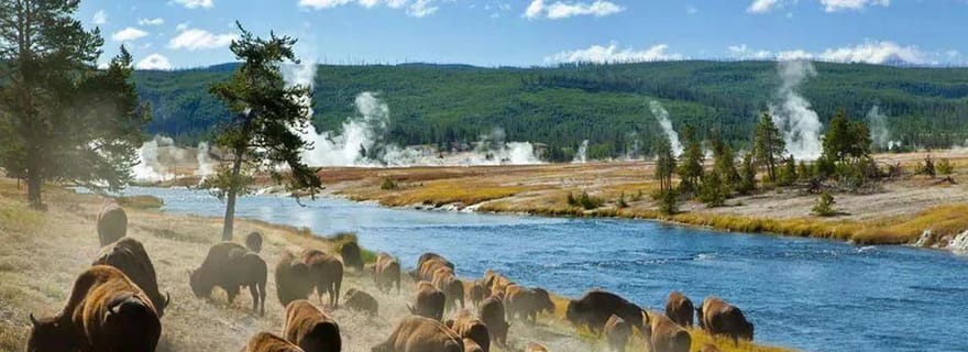 Salt Lake City : visite de 3 jours à Yellowstone et Grand Teton