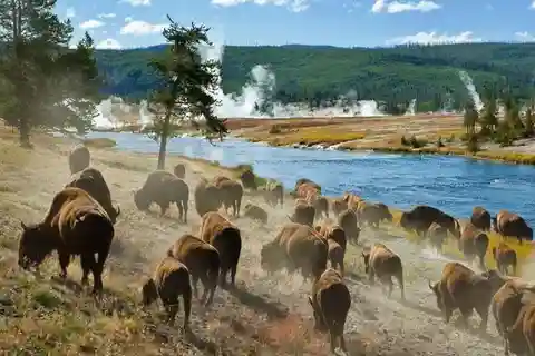 Salt Lake City: Yellowstone 3-Day Guided Trip with Hotels