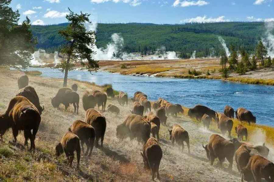 Salt Lake City: Yellowstone 3-tägige geführte Reise mit Hotels. Foto: GetYourGuide