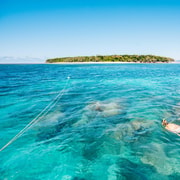 Cairns: Green Island Cruise, Glass Bottom Boat or Snorkel