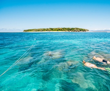 Cairns: Esnórquel en Green Island o barco con fondo de cristal