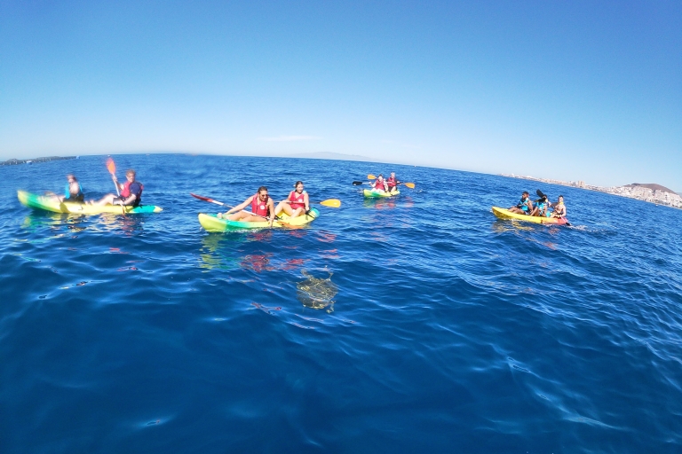 Tenerife: kajakken en snorkelen met schildpaddenKajakken en snorkelen met schildpadden