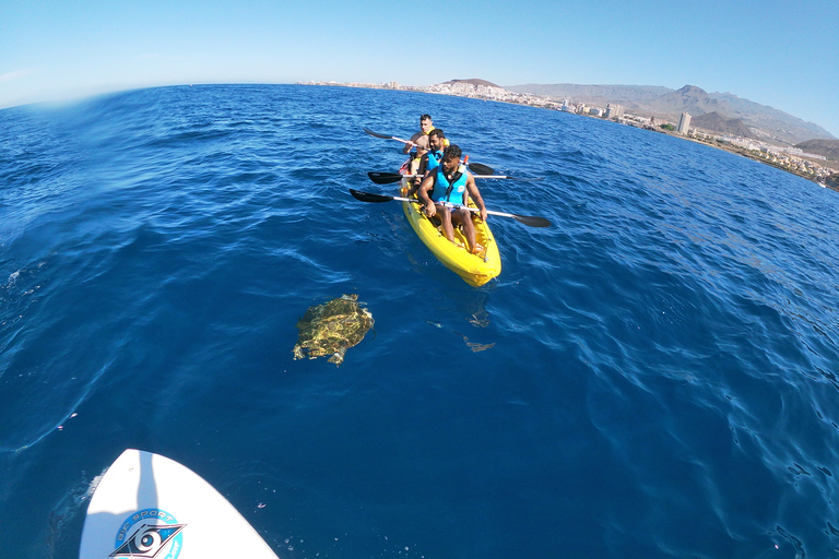 Los Cristianos: Kayak and Snorkel with Turtles and Photos