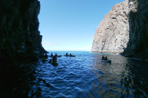 Tenerife: kajakken en snorkelen met schildpaddenKajakken en snorkelen met schildpadden