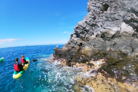 Los Cristianos: Kajak och snorkling med sköldpaddor och foton