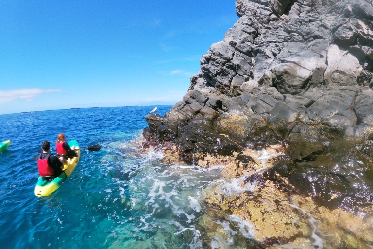 Tenerife : Kayak et plongée en apnée avec les tortuesKayak et plongée en apnée avec les tortues