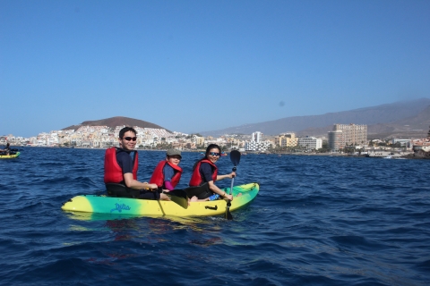 Tenerife : Kayak y snorkel con TortugasKayak y snorkel con tortugas
