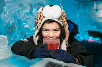 Queenstown, meno 5 esperienze di glace bar con opzioni di bevanda - Housity