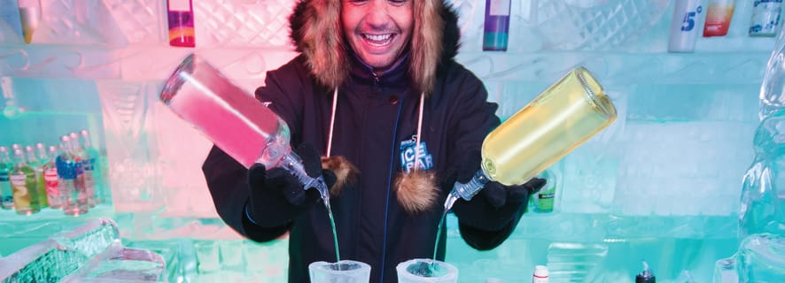 minus 5 ice bar auckland price