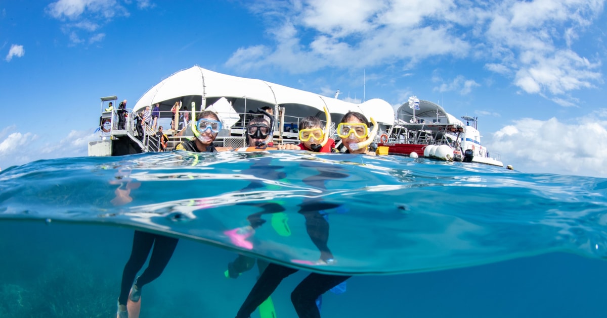 ケアンズ発：グレートバリアリーフポンツーン体験 | GetYourGuide