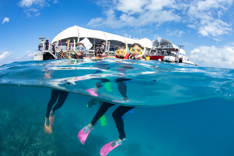 Vanuit Cairns: Green Island + Moore Reef Ponton ComboGroen eiland & Moore Reef Ponton Combo