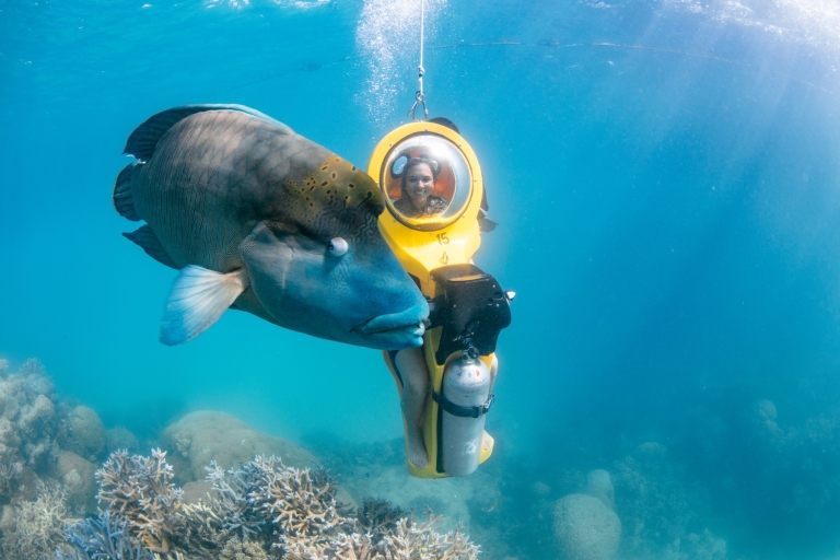 Cairns: excursion en catamaran semi-sous-marin dans la Grande Barrière de CorailBillet Individuel