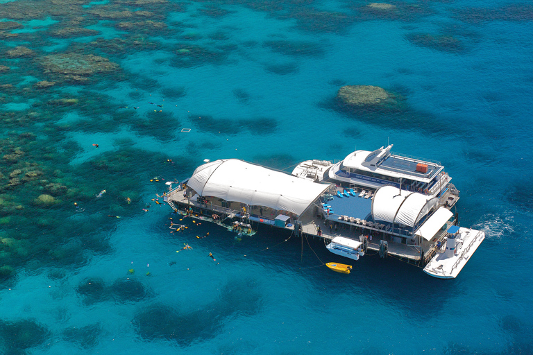 Från Cairns: Great Barrier Reef Cruise och aktivitetsplattformIndividuell biljett