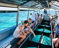 Da Cairns, Green Island Snorkeling o Bottom Boat - Housity