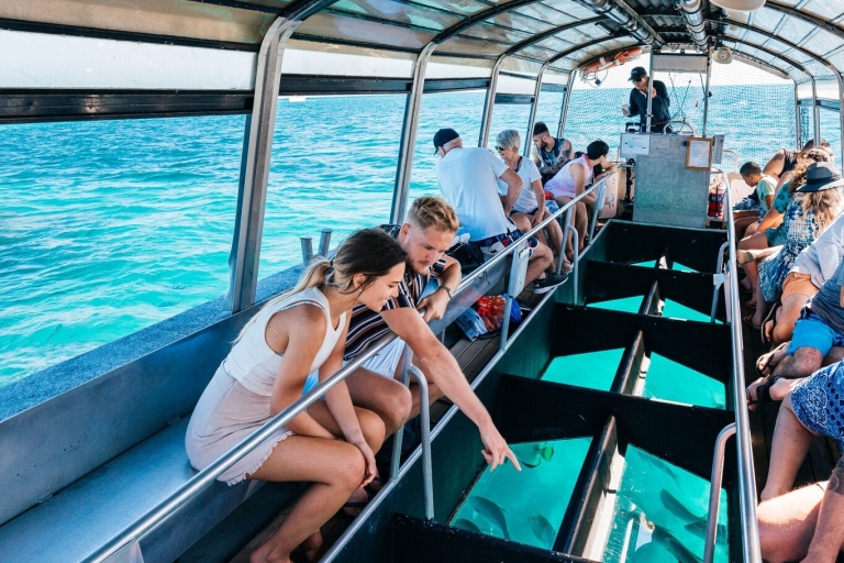 Ab Cairns: Öko-Abenteuer auf Green Island7-Stunden-Reise