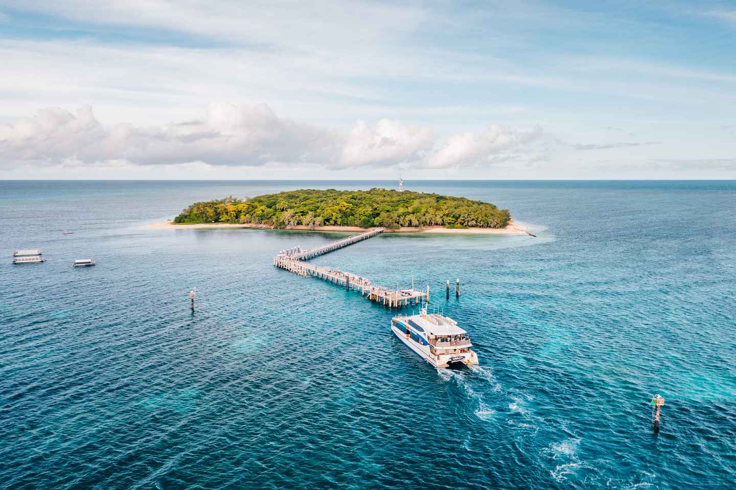 Cairns: Green Island, Snorkelling & Glass Bottom Boat - 8:30 AM/4:30 PM Cruise, Snorkel Equipment & Glass Boat