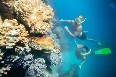 From Cairns: Green Island Snorkelling and Glass Bottom Boat