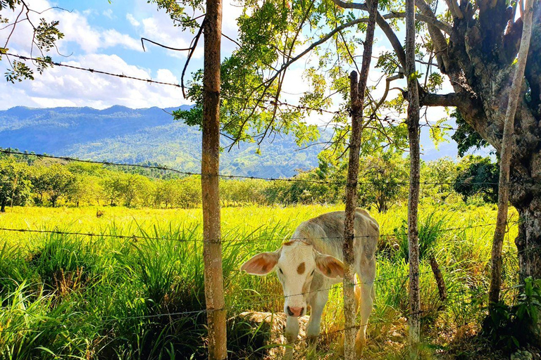 Puerto Plata Trekking - Natur und Folklore erleben