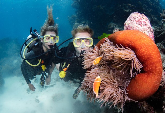Visit Great Barrier Reef Snorkel & Dive Full-Day Adventure in Cairns, Australia