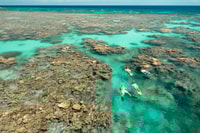 Great Barrier Reef Schnorchel & Tauch-Ganztages-Abenteuer - Housity