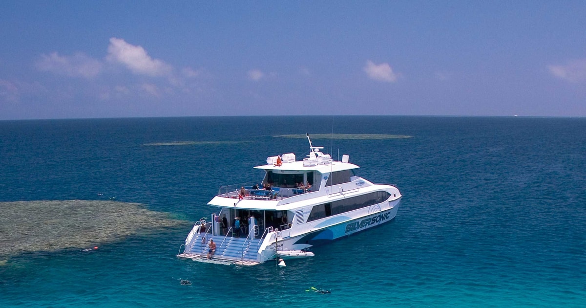 Great Barrier Reef Snorkel & Dive FullDay Adventure GetYourGuide