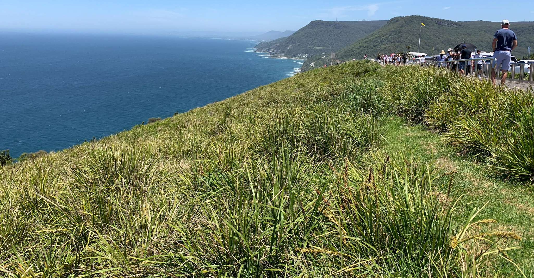 Charter privato della Costa del Sud - Hizvo