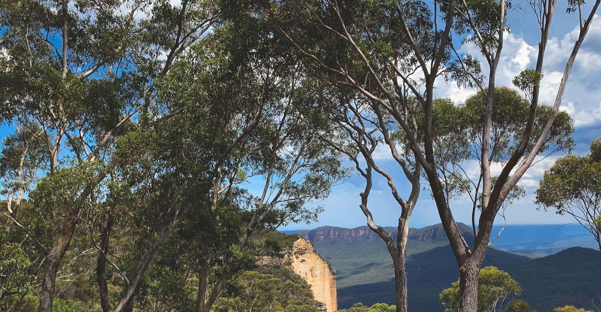 Charter privato della Costa del Sud - Hizvo