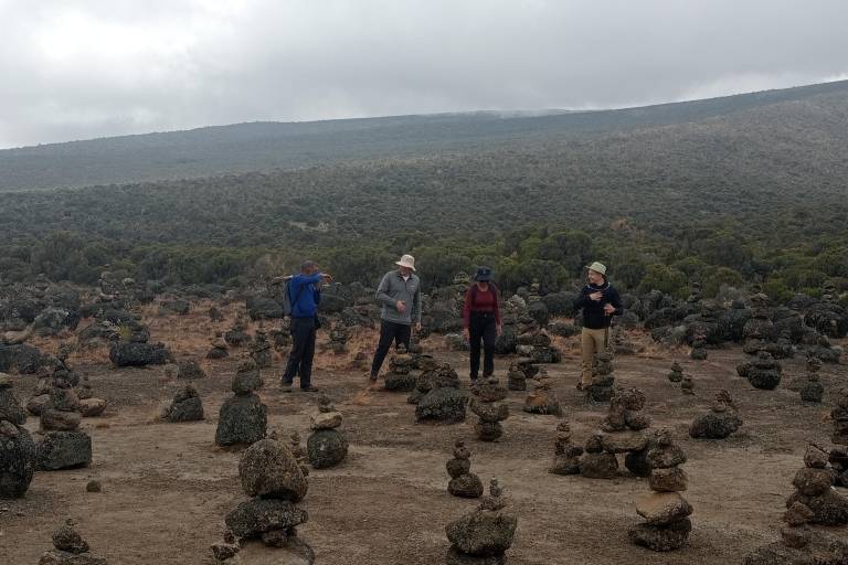 Monte Kilimanjaro: Expedición de 8 días por el Circuito Norte